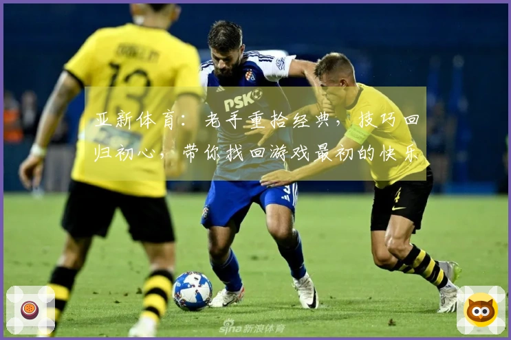 亚新体育：老手重拾经典，技巧回归初心，带你找回游戏最初的快乐