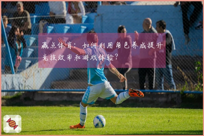 赢点体育：如何利用角色养成提升竞技效率和游戏体验？