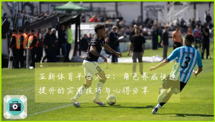 亚新体育平台入口:角色养成快速提升的实用技巧与心得分享