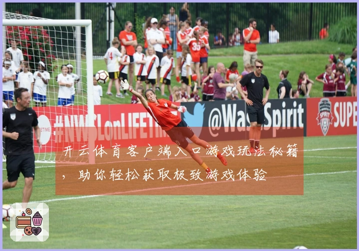 开云体育客户端入口游戏玩法秘籍，助你轻松获取极致游戏体验